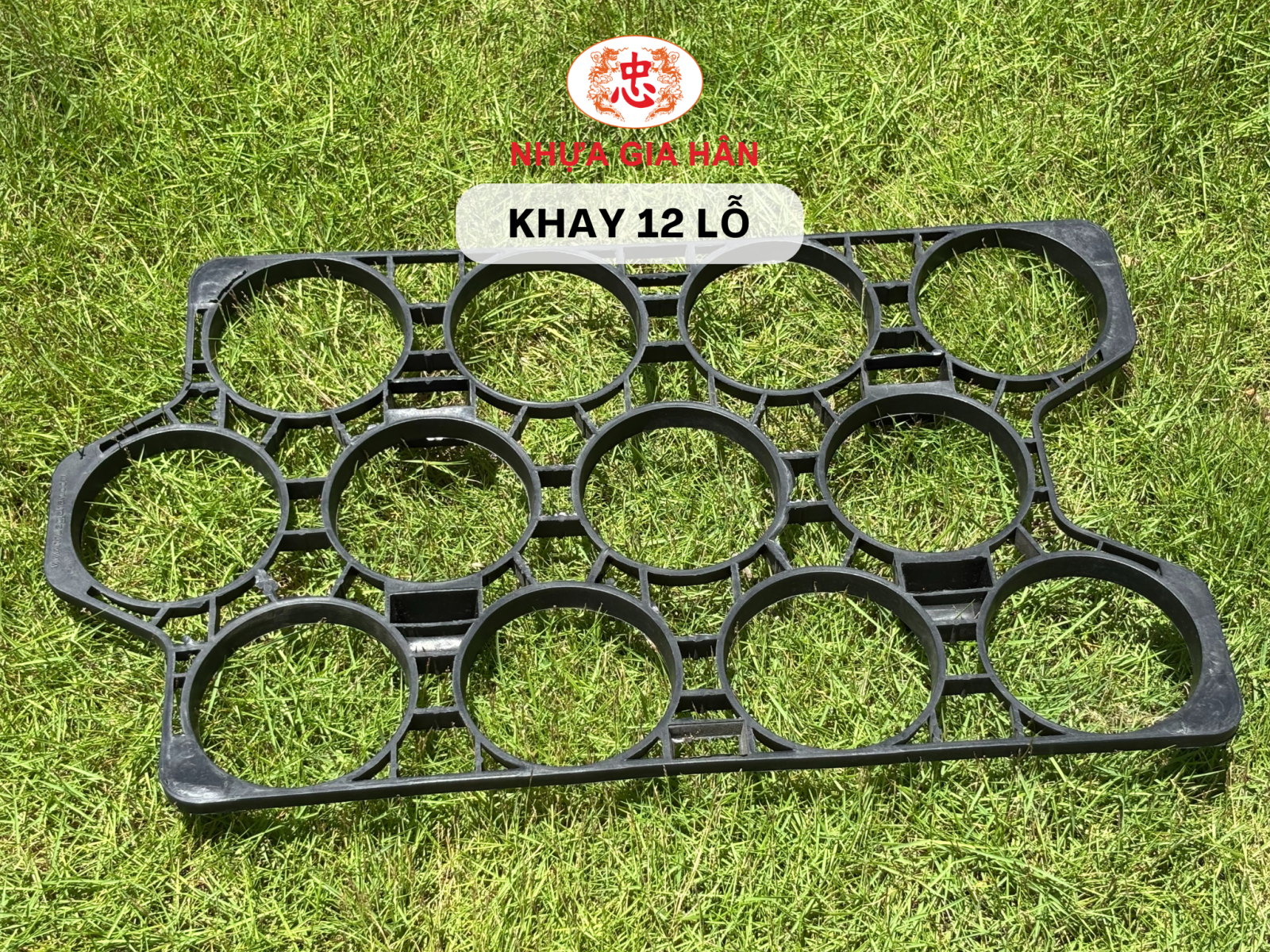 khay nhựa 12 lỗ