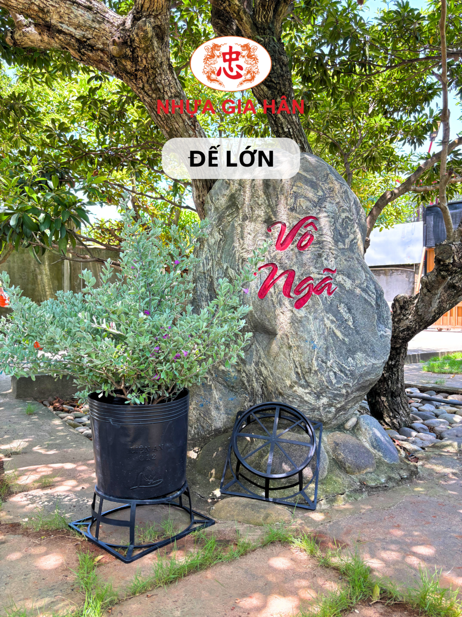 đế chậu