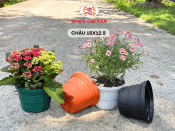 CHẬU NHỰA 18 - Ảnh 3