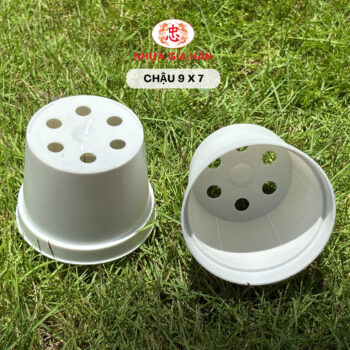 CHẬU NHỰA 9X7 - Ảnh 4