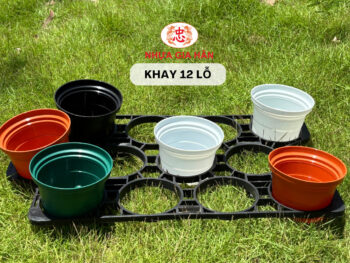 KHAY ĐỰNG CHẬU NHỰA 12 LỖ - Ảnh 3